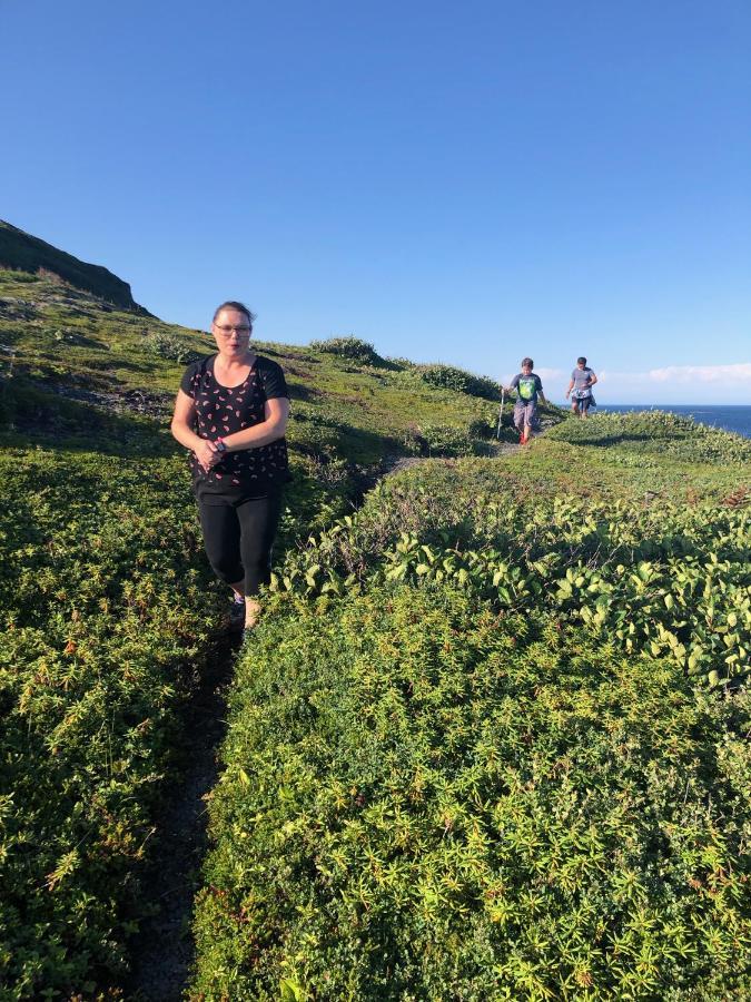 Valhalla Near L'Anse Aux Meadows Ngoại thất bức ảnh